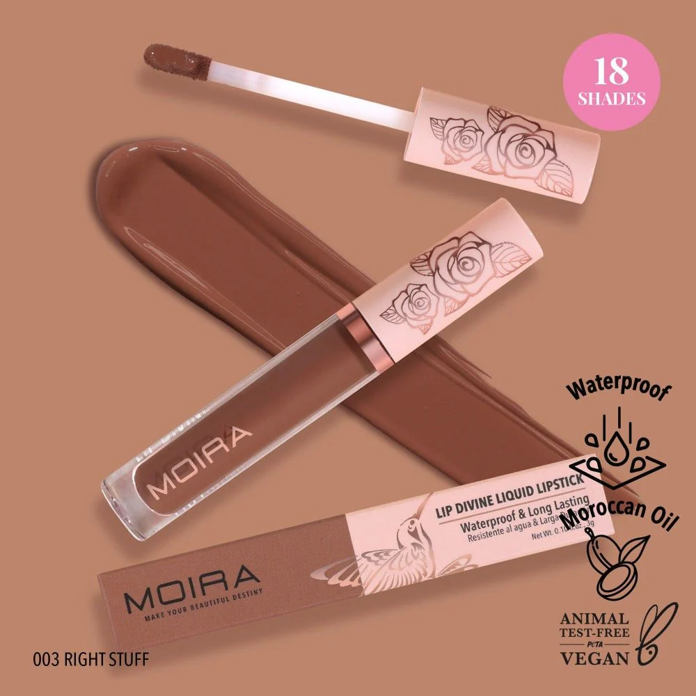 Lip Divine Waterproof Liquid Lipstick - Image 10