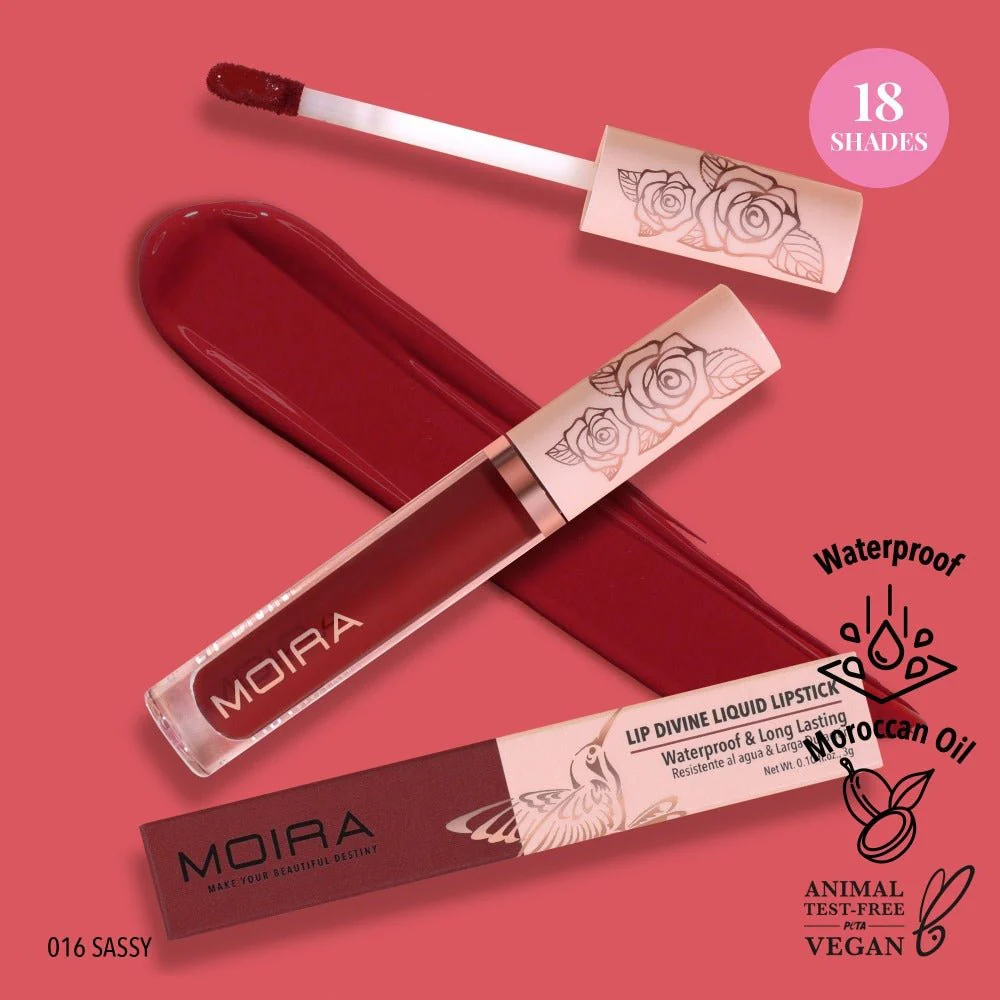 Lip Divine Waterproof Liquid Lipstick - Image 36