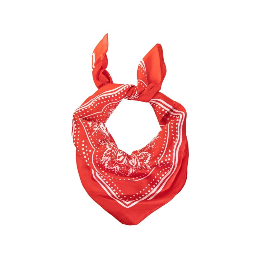 Satin Paisley Bandana Head Scarf - Image 2