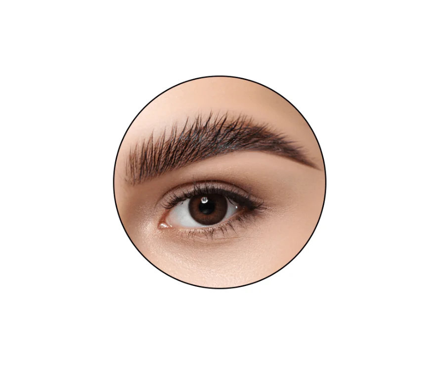 Super Brow Fixer - Image 4